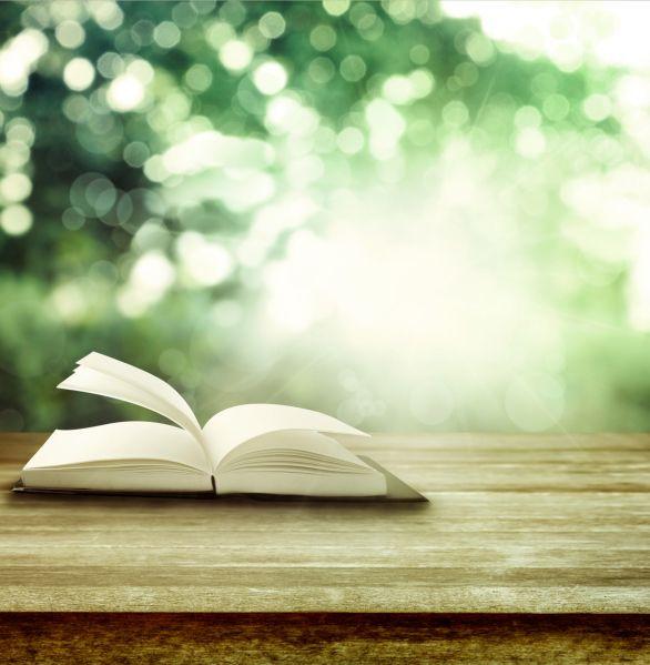 Libro aberto