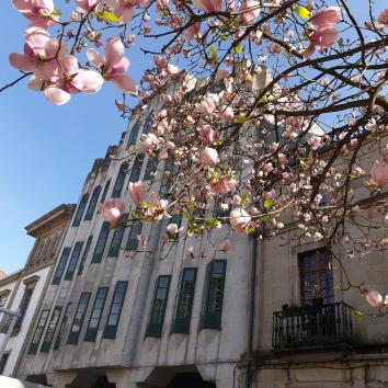 Edificio da Biblioteca Pública de Pontevedra Antonio Odriozola